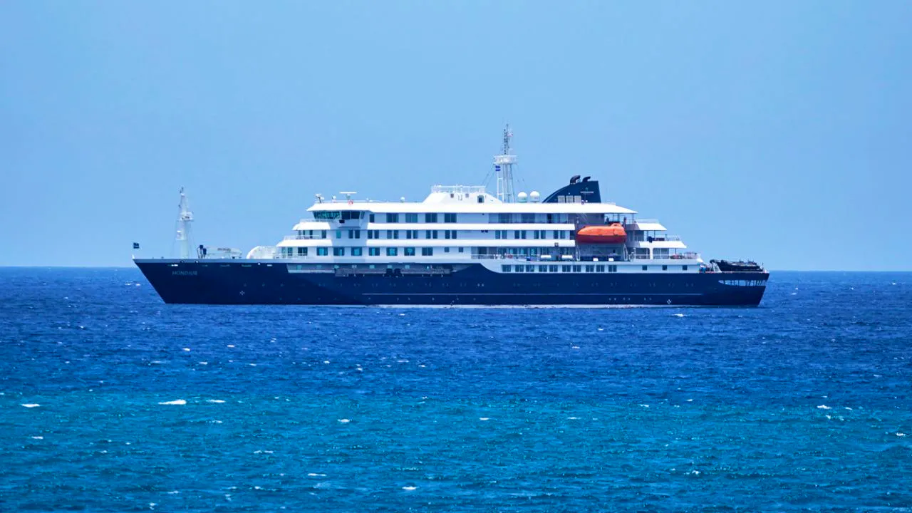 Traités et organisations internationales. Hantavirus: l'OMS maintient son évaluation de «risque faible»