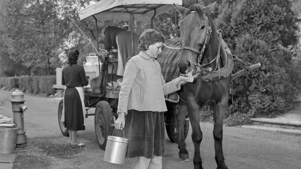 Tetra Pak versus milk cartons. When the milk wars raged in Switzerland