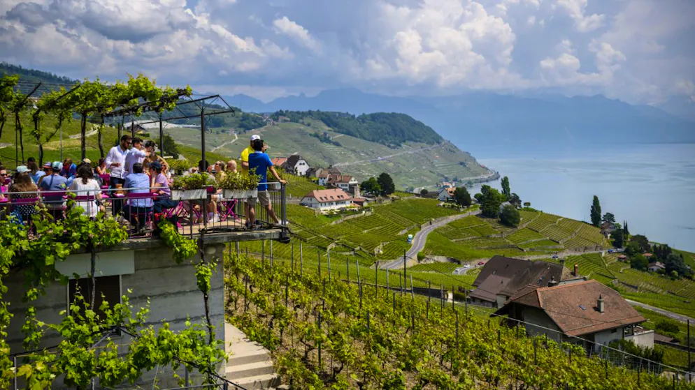 Vaud. Nouvelle édition des caves ouvertes ce week-end