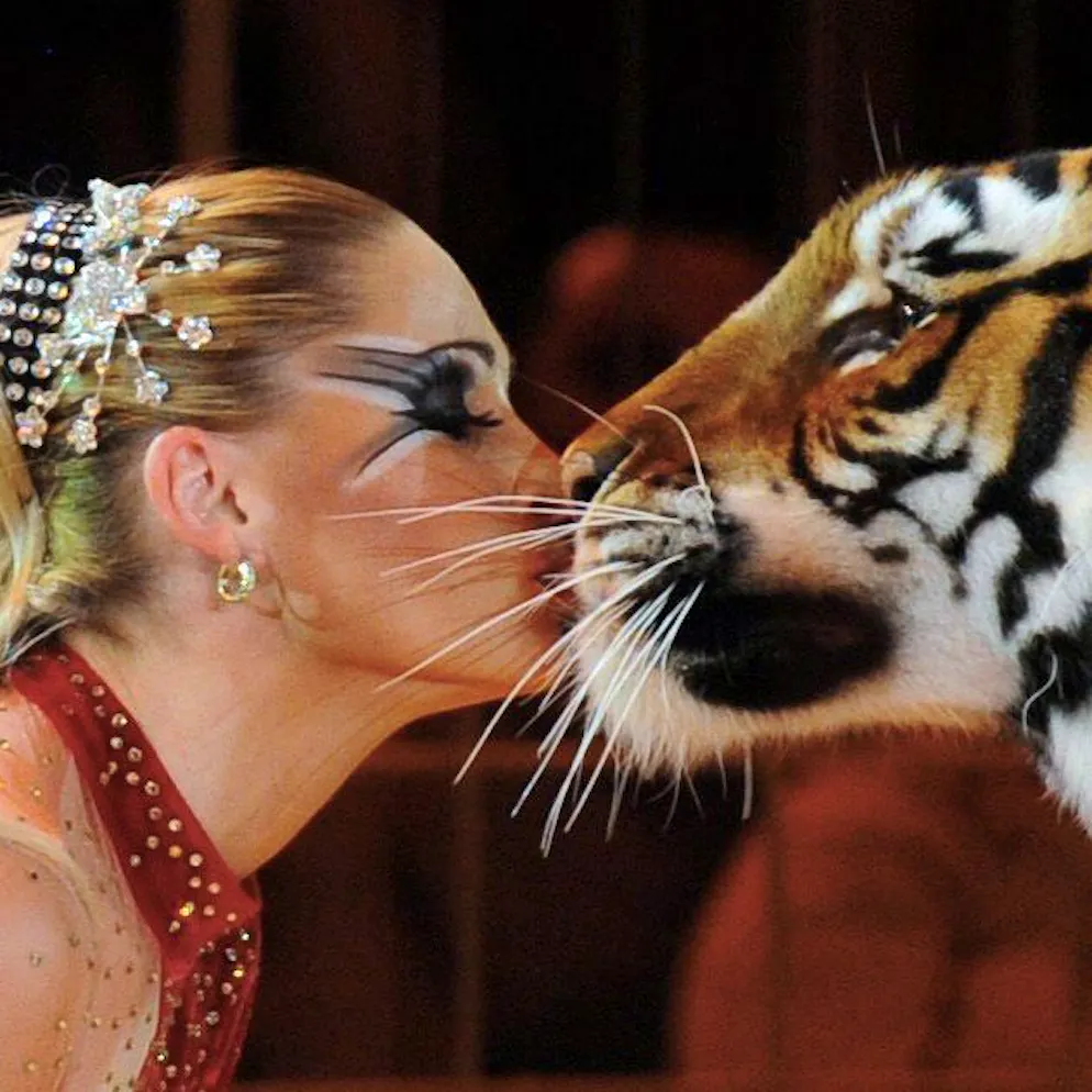 «Ich bin kein Dummchen». Grosskatze verletzt Senior – jetzt spricht die «Tigerkönigin»