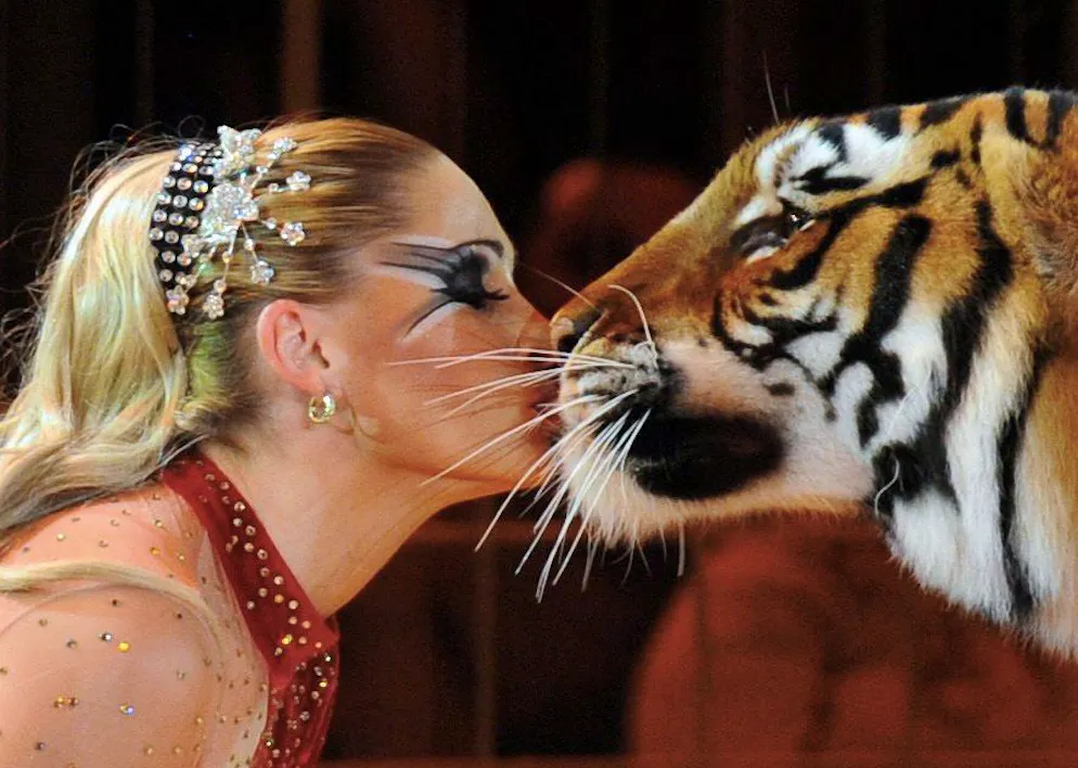 Carmen Zander ist die Halterin des entlaufenen Tigers.