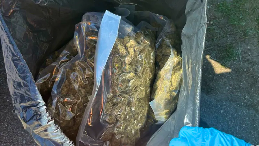 Stupefacenti. In Germania dalla Svizzera con 50 chili di marijuana in auto