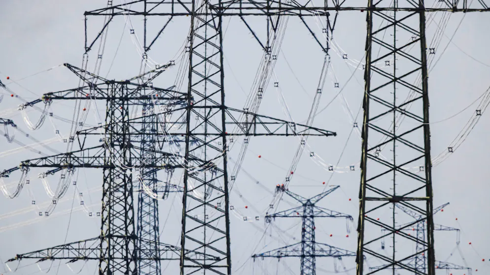 Strange incident. Thieves steal several 500-kilo electricity pylons