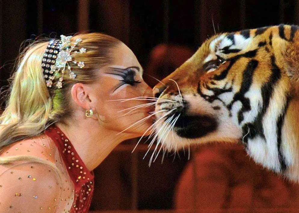 Carmen Zander è la proprietaria della tigre fuggita.