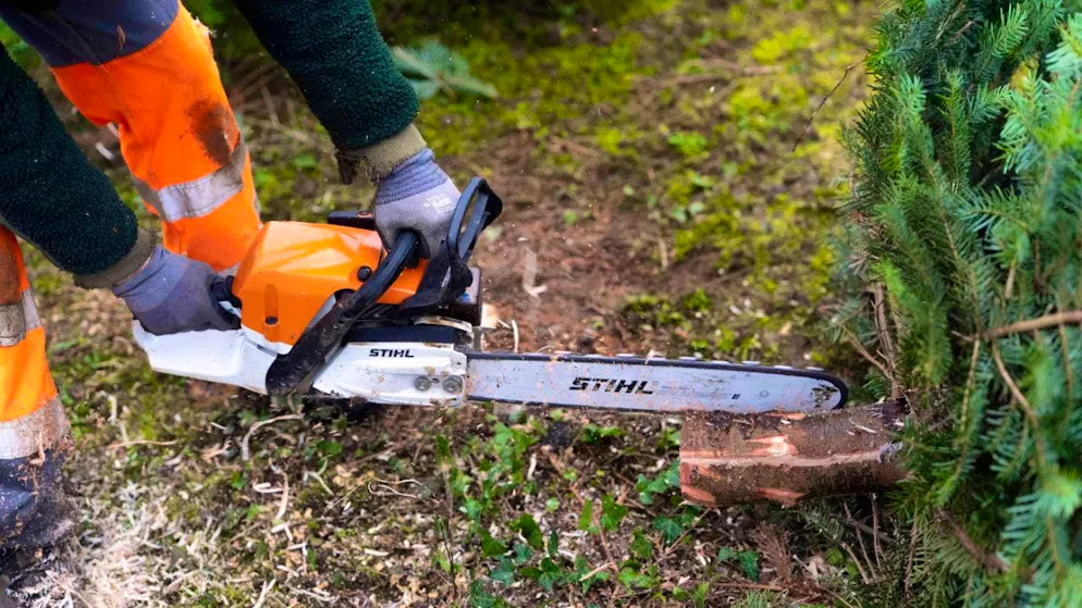 Chainsaw and garden tool manufacturer Stihl feels the effects of the economic downturn (archive image)