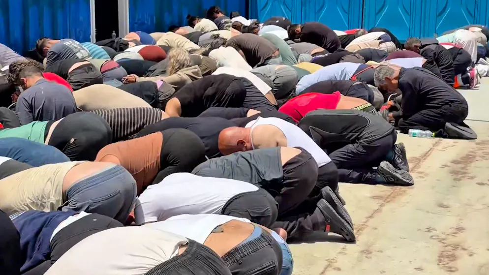 «Flottille pour Gaza». Une vidéo des militants arrêtés choque : «Monstrueux, indigne et inhumain»