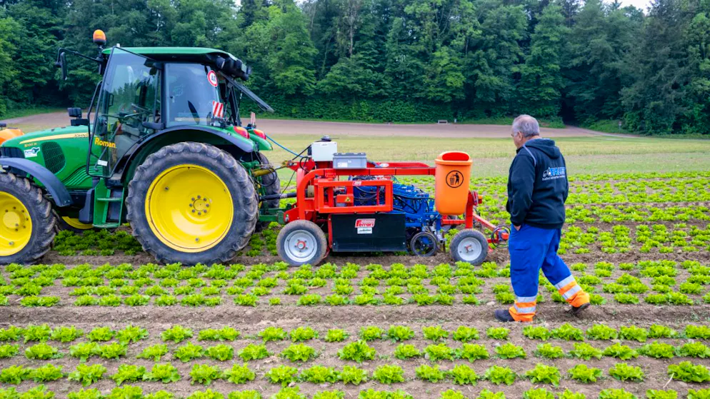 Svizzera. Nuovi aiuti da Berna all'agricoltura per affrontare le sfide del mercato