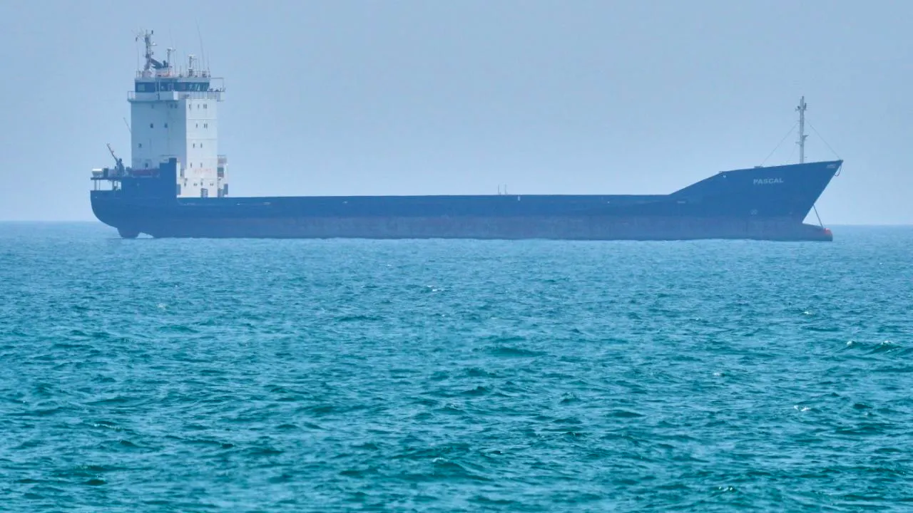 Politik. Irans Marine: 26 Schiffe passieren Strasse von Hormus