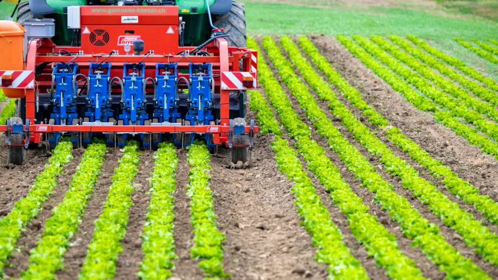 L'agriculture suisse, impactée par les accords commerciaux internationaux, doit être davantage soutenue à titre de compensation (image d'illustration).
