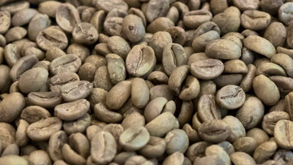 Nestlé sees a trend towards cold coffee drinks and wants to benefit from this with a new espresso concentrate.(symbolic image)