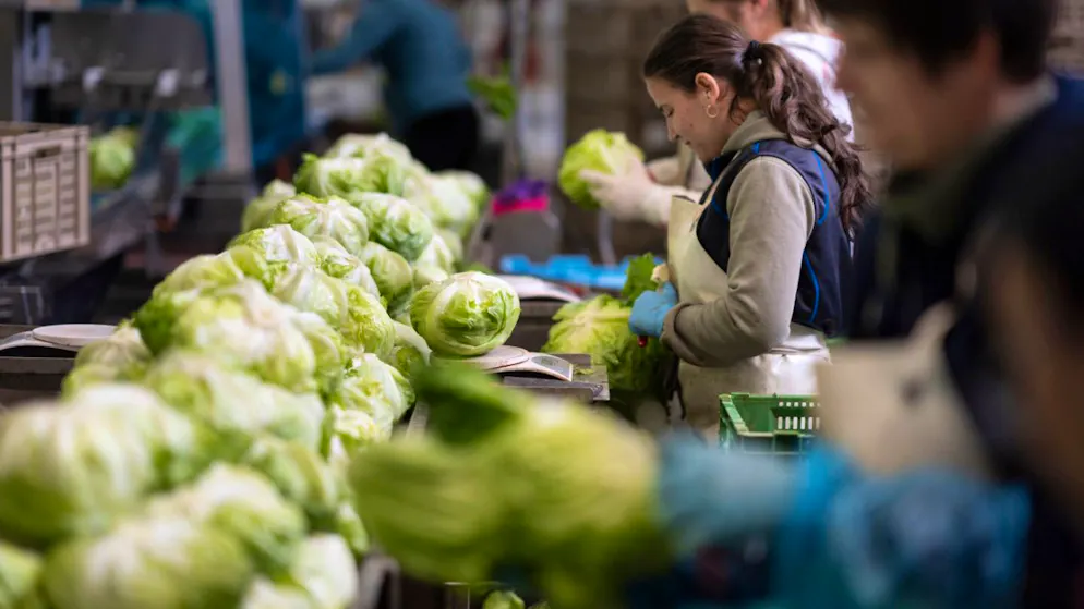 Ecco perché. Migros accusata di posizione dominante dall'Associazione mercati equi