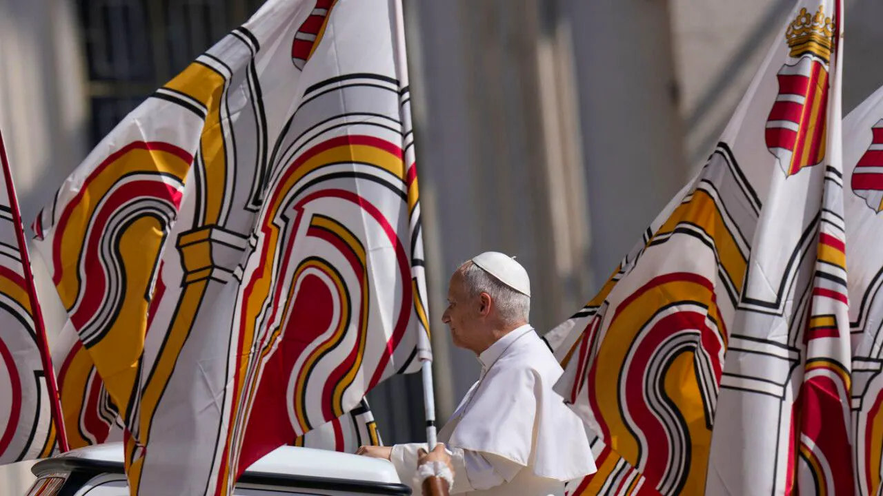 Vatican. Pope stands up for international organizations