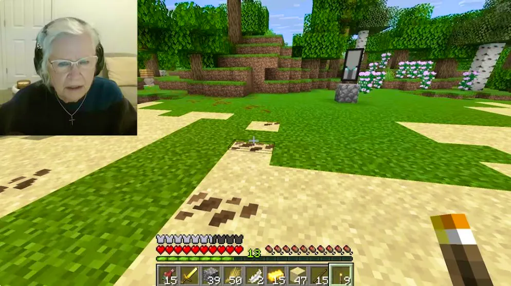 Sue Jacquot joue en streaming au jeu Minecraft afin de récolter des fonds pour le traitement du cancer de son fils.