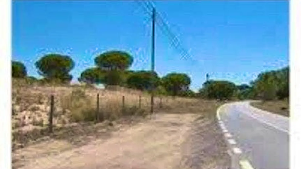 Two children, possibly French, aged 3 and 5, were found alone near this country road between Alcácer do Sal and Comporta.