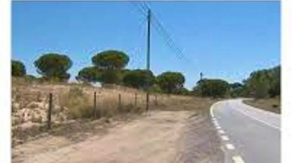 Discovered on a remote country road. Toddlers in Portugal allegedly abandoned by parents