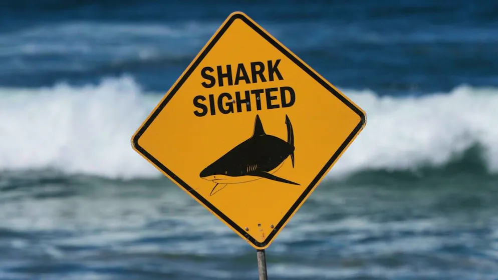 Un requin a à nouveau fait une victime en Australie.