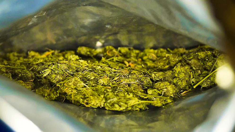 Since marijuana was decriminalized in Thailand in 2022, drug trafficking has increased dramatically. (symbolic image)