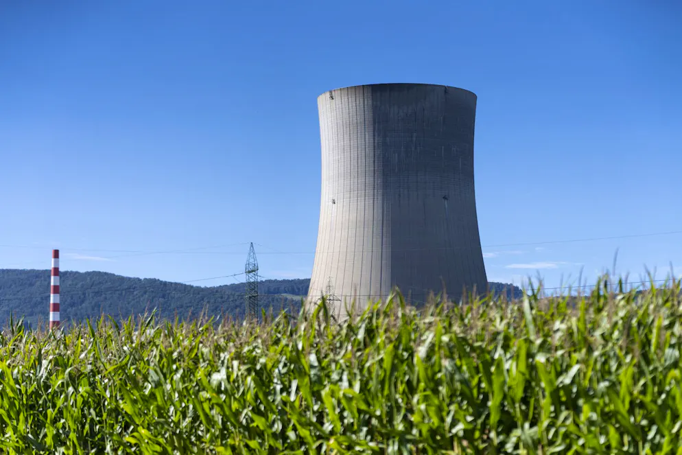 Pour Greenpeace, «choisir le nucléaire nous pousse dans les griffes de la Russie au lieu de nous en libérer. Seule une transition vers un approvisionnement énergétique entièrement appuyé sur les énergies renouvelables nous permet de devenir pleinement indépendants et souverains dans ce secteur»