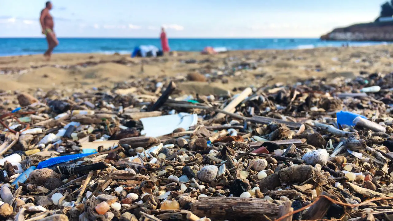 bluewin.ch - Food packaging in particular is littering the oceans