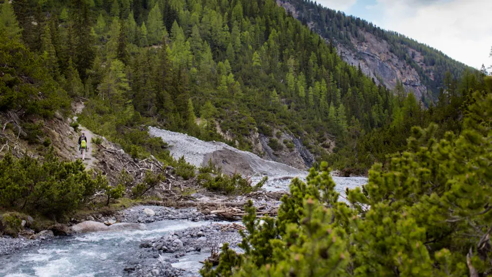 Il Parco nazionale svizzero ha lanciato un programma con l'obiettivo di creare più tolleranza da parte della popolazione verso i grandi predatori. L'idea è nata a seguito dell'eliminazione del branco di lupi del Fuorn. (immagine d'archivio)