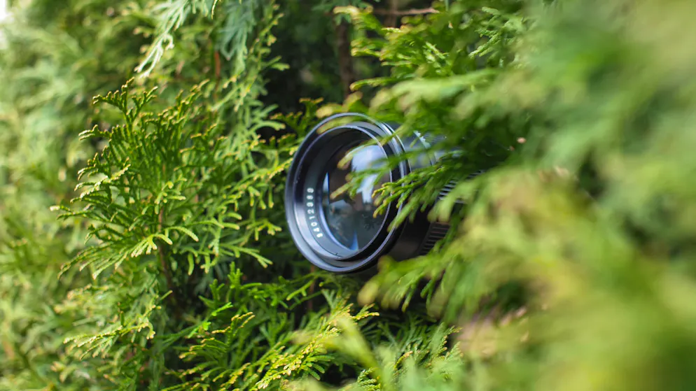 Actu et dicton du jour. Idylle au TF: le juge retrouve une caméra cachée dans une haie de sa propriété en Valais