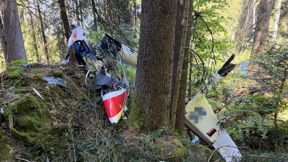 Das Segelflugzeug stürzte aus unbekannten Gründen in einen Wald ab.