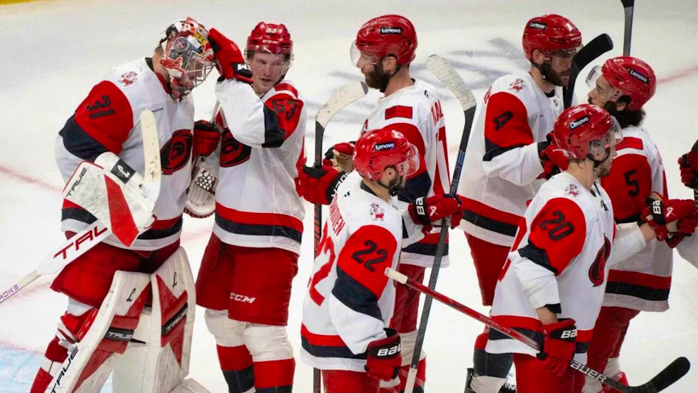 Done: The Carolina Hurricanes players congratulate themselves on reaching the NHL playoff final