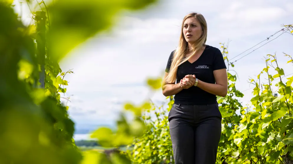 Charlotte Burgat, vigneronne et oenologue, du Domaine de Chambleau à Colombier, a expliqué que les grains de raisins de cette parcelle, produisent moins mais sont plus concentrés et plus haut de gamme.