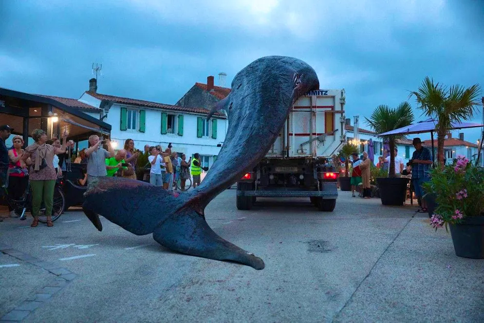La Francia trasporta via una balena arenata. La balena è stata trasportata via su un camion.