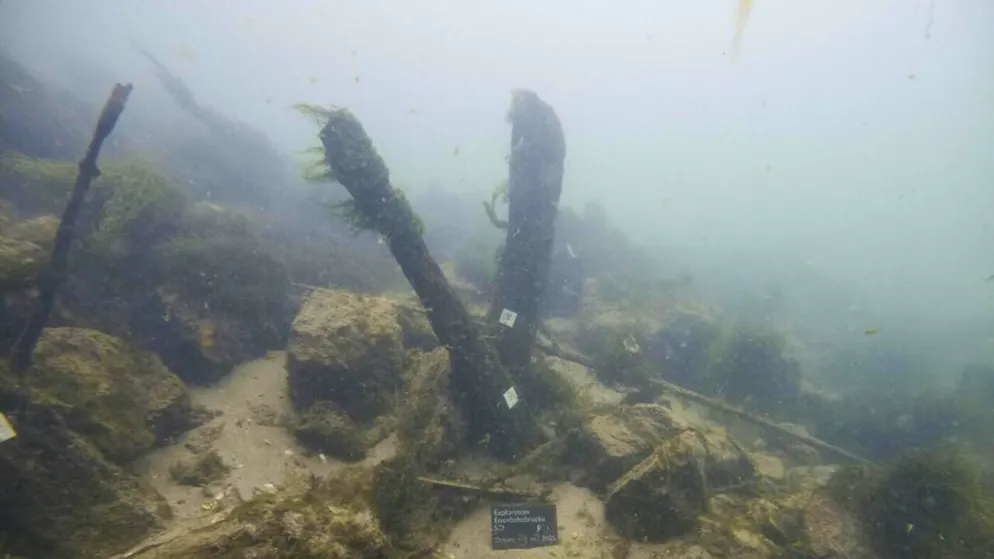 Gli antichi resti trovati nel fiume Aare.