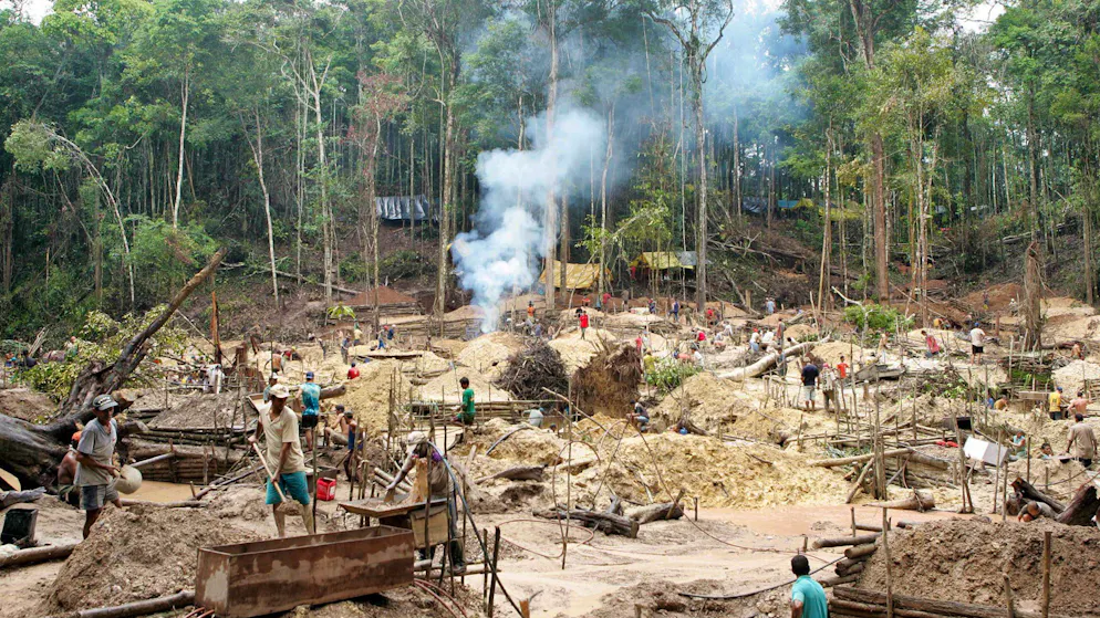 Kampf ums grüne Herz der Erde. Goldrausch am Amazonas bedroht Natur und Indigene
