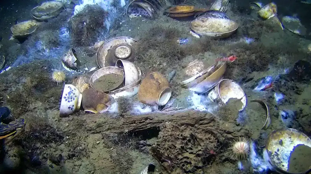 Wunder am Meeresgrund. Forscher entdecken 300 Jahre alten Schatz in der Tiefe