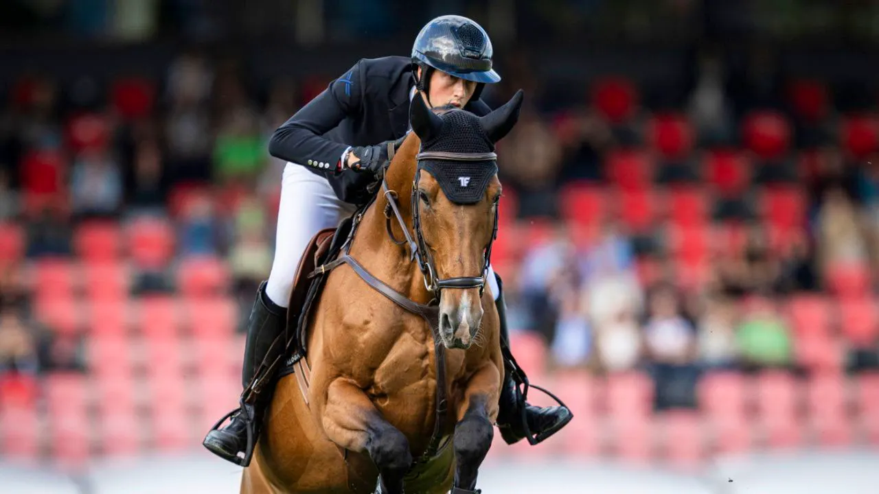 Reiten. Kein Schweizer Spitzenresultat im Jagdspringen