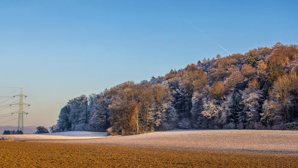 Climate researcher warns. Switzerland not prepared for the collapse of the Atlantic current