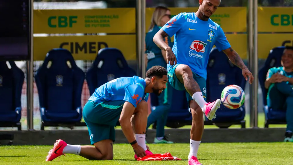 World Cup. Brazil at the World Cup without regular defender Wesley