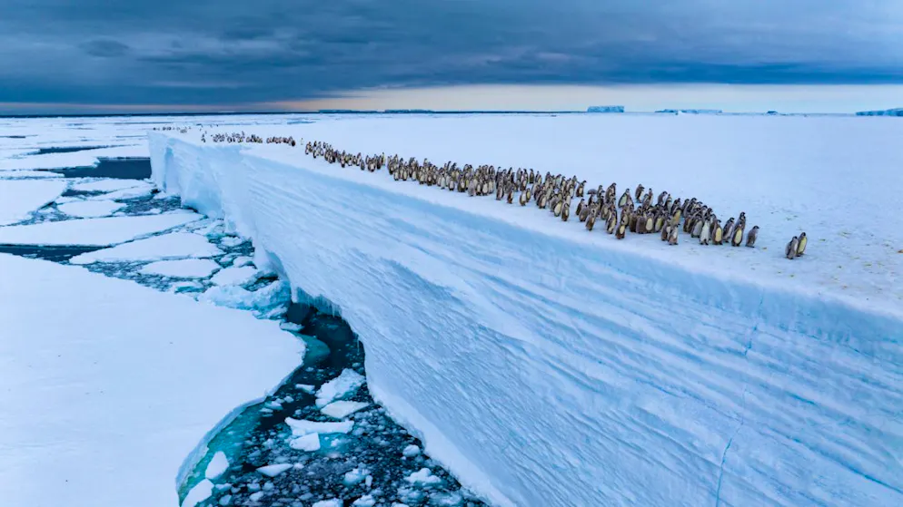 Point de rupture. Les océans se rapprochent d’un basculement irréversible, avertit l’ONU