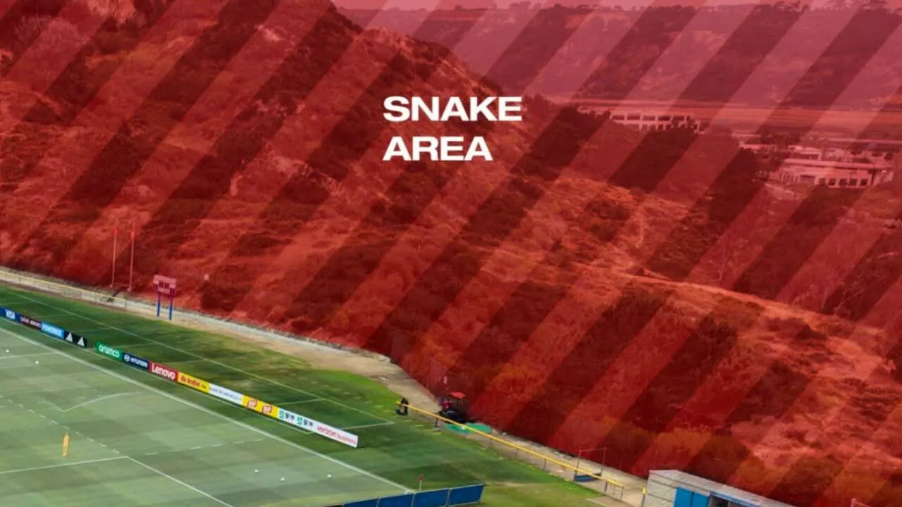 Calcio e animali. Mondiali: ritiro Svizzera; campo allenamento infestato da serpenti