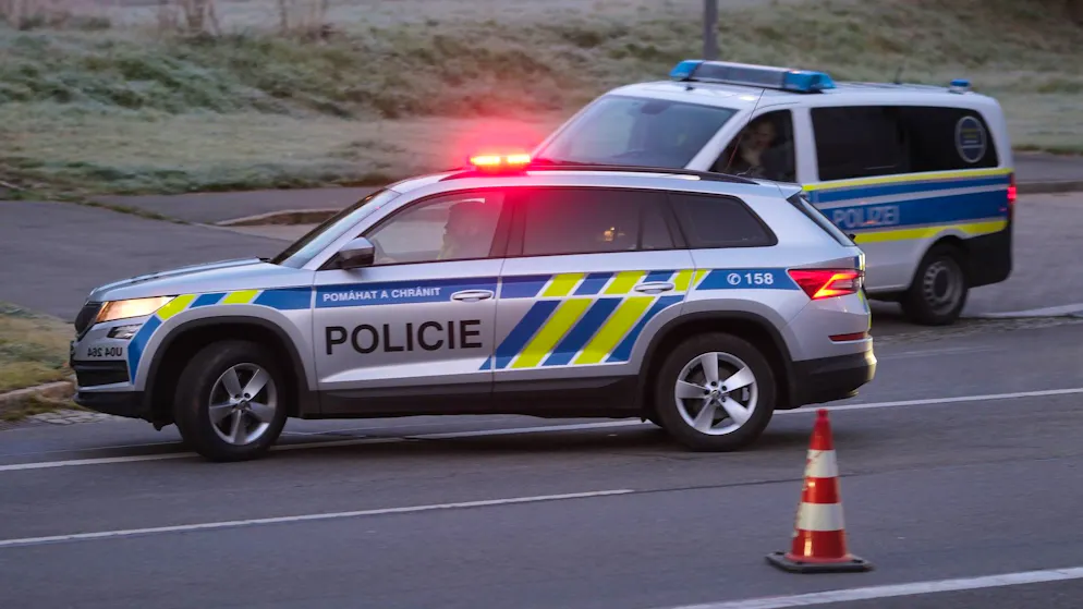 Horror in the Czech Republic. Mother allegedly fed her baby to dogs
