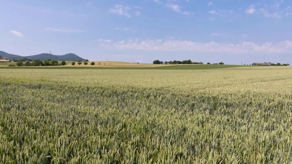 Lo rivela uno studio. Il 2025 è stato di crescita per gli investimenti sostenibili in Svizzera