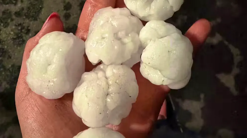 As big as apricots. Weather chaos in Ticino - huge hailstones hit