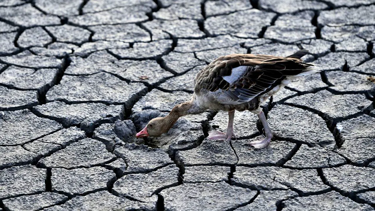 Désastre météorologique. Climat: les conditions extrêmes deviennent «la norme»