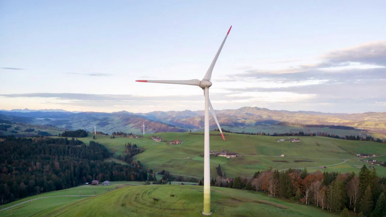 Energy. Shutting down wind turbines can protect millions of migratory birds