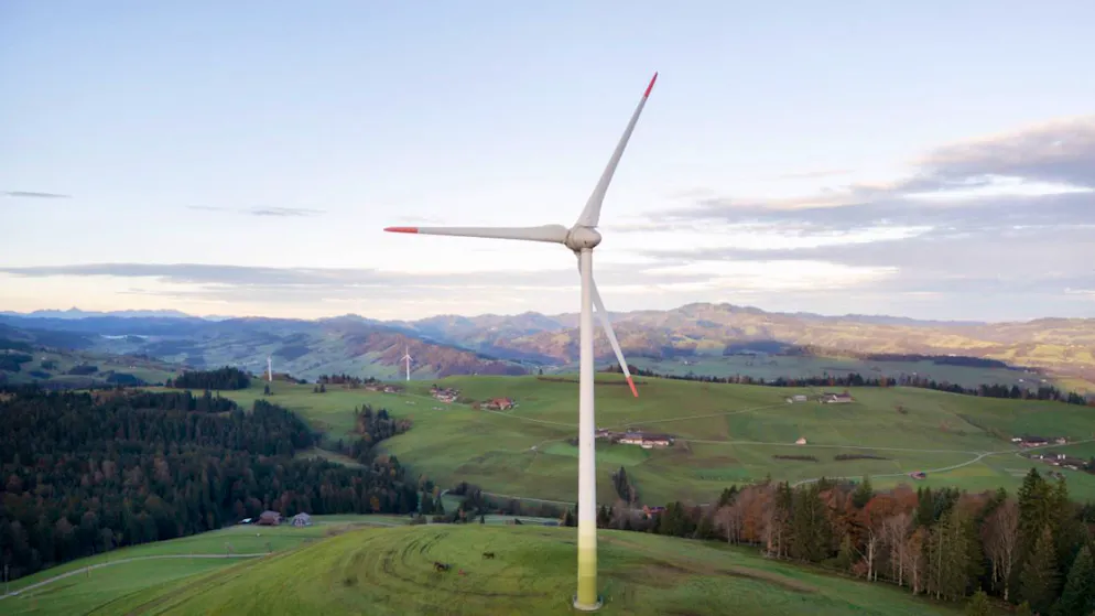 114 million migratory birds in danger. Researchers find amazingly simple solution to wind turbine death trap