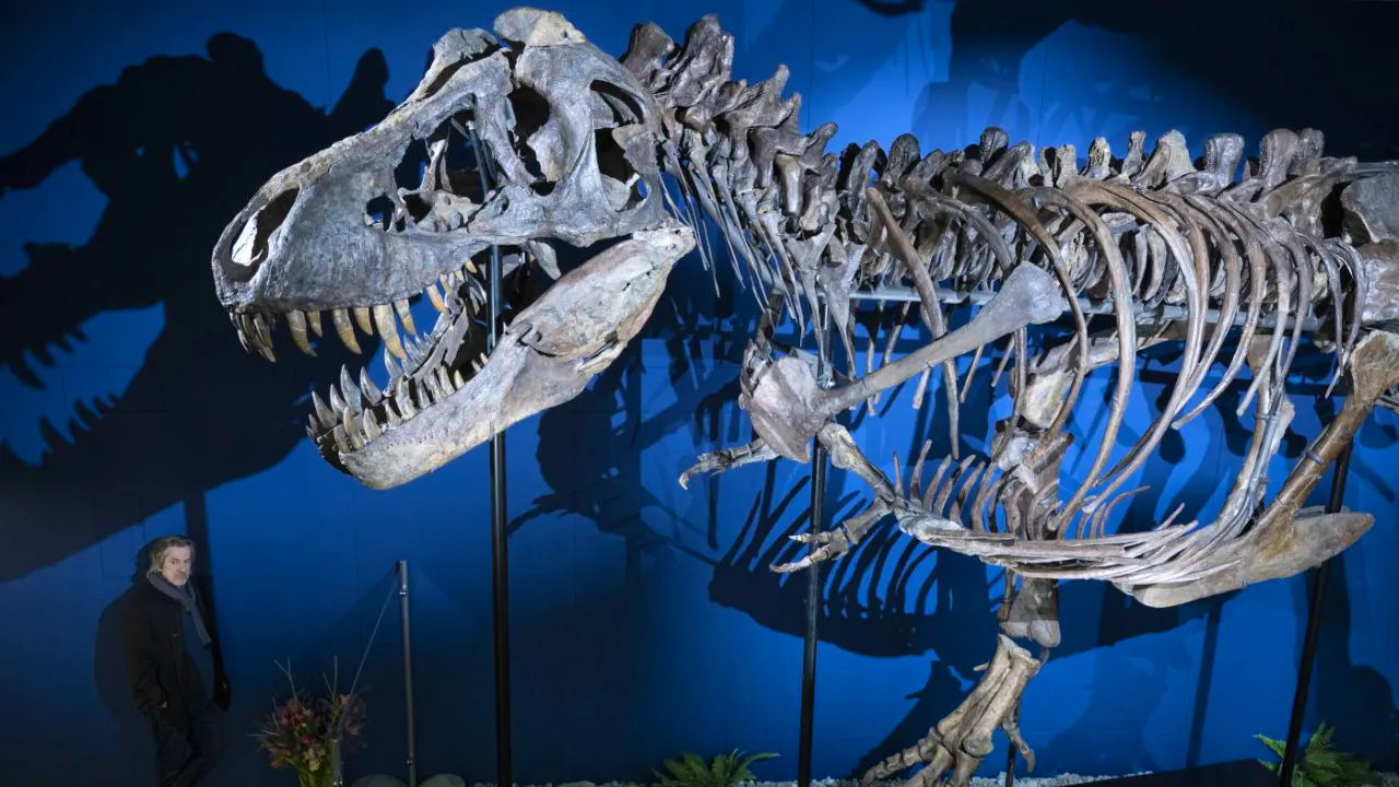 Buntes. Handtasche aus angeblichen T-Rex-Hautzellen findet keinen Abnehmer