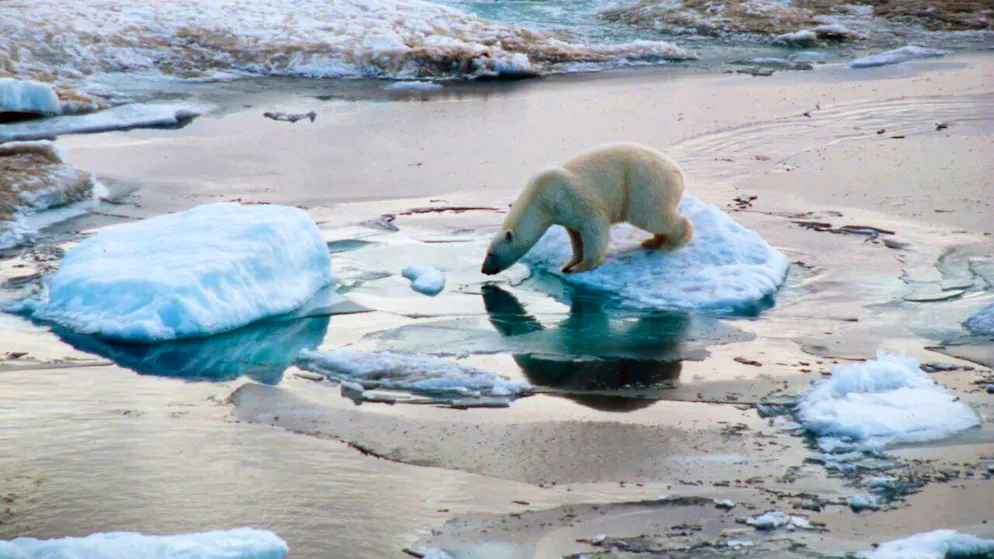 70 scientifiques alarment. Réchauffement record et menaces sur l'observation de la Terre