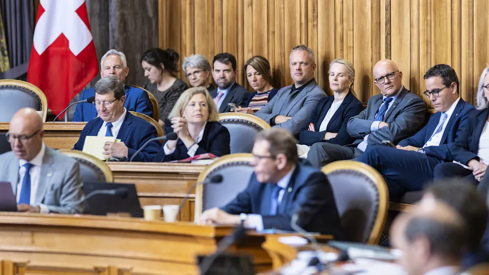 A fruitless session on the most important dossier. An hour of arguing over nothing: The Council of States makes a fool of itself over the EU dossier