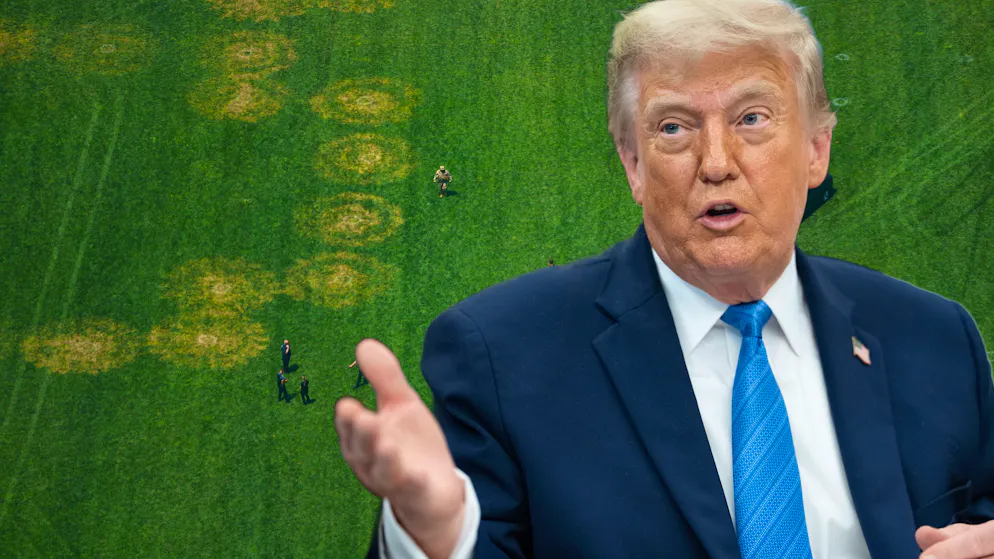 Polizei leitet Untersuchung ein. Kurz vor Trump-Event erscheint rätselhafte Botschaft auf einem Rasen