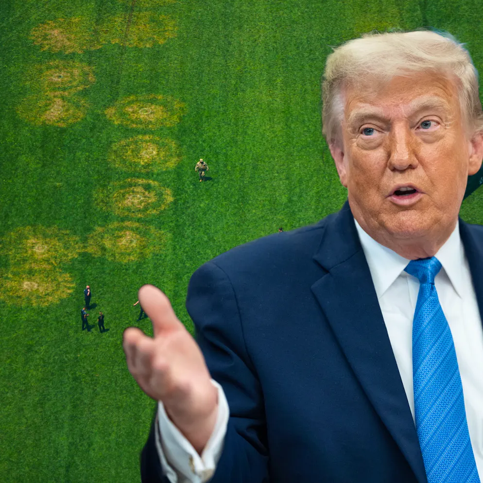 Polizei leitet Untersuchung ein. Kurz vor Trump-Event erscheint rätselhafte Botschaft auf einem Rasen