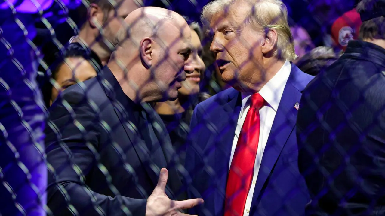 USA. Gericht erlaubt Käfigkämpfe an Trumps Geburtstag