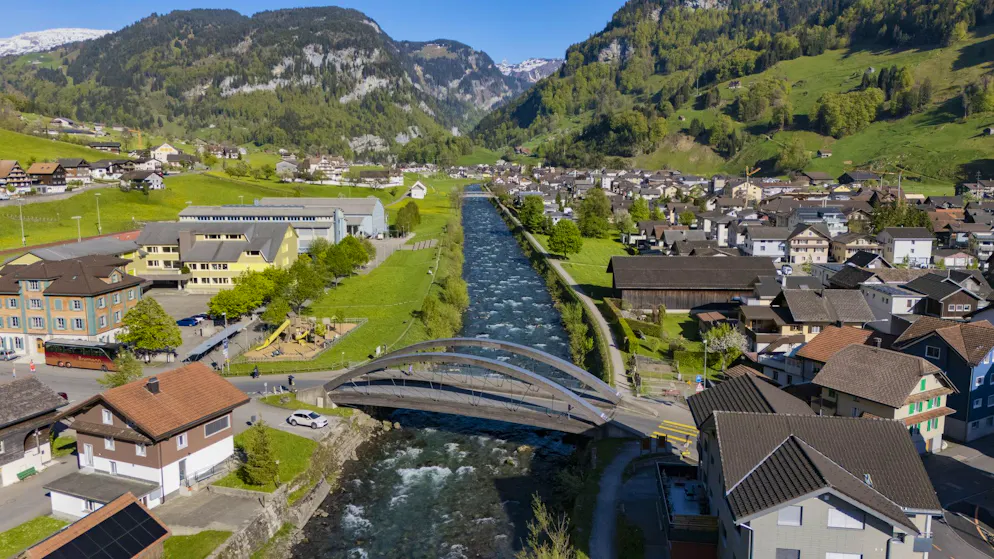 “This is a disgrace”. Vandals destroy Schwyz school project – 150 trees and shrubs uprooted